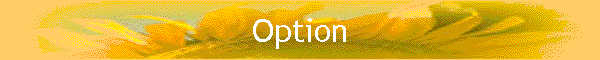 Option